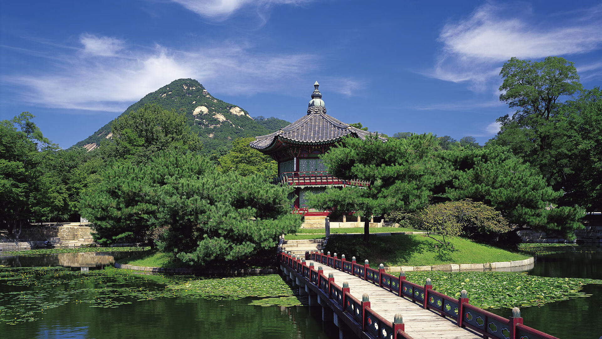 猛龙队主场负于雄鹿队，遭遇连败，猛龙队主场负于雄鹿队,遭遇连败是真的吗